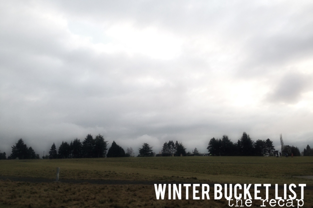 winter bucket list 2014_edited-1